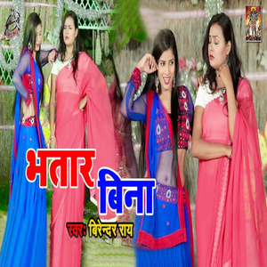 Bhatar Bina