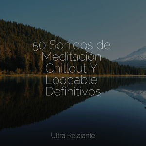 Chakra Equilibrado