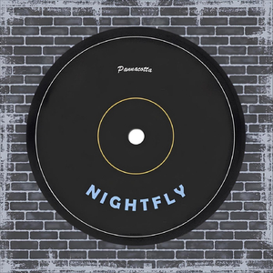 NightFly