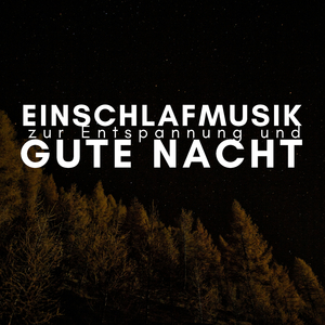 Verbessere dich selbst