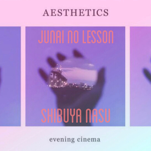 純愛のレッスン (Shibuya Nasu Remix)