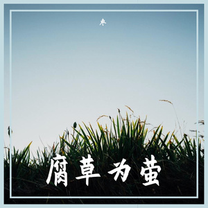 锦鲤抄（翻自 银临）