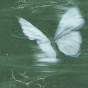 去大理（Cover 郝云）