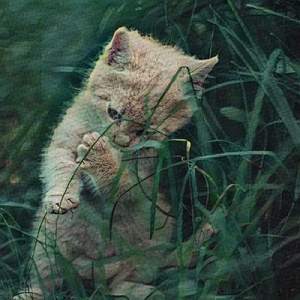 He Said He Belongs On The Streets