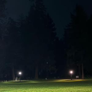 if i was a photographer