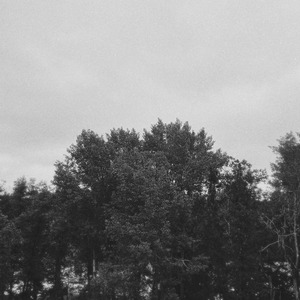 Slowly Walking towards a Dream