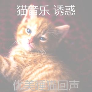 微妙的睡猫心情