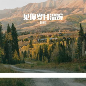 见你岁月温婉 伴奏