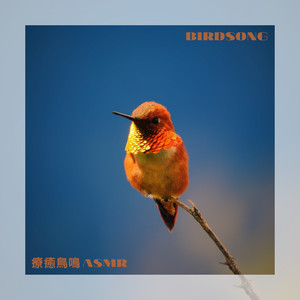 山谷飛鳥 白噪音