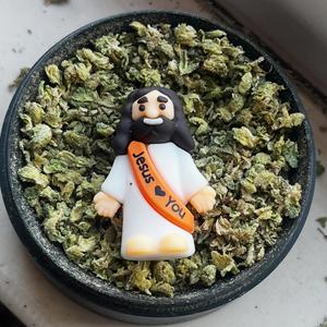 The Eagle has Landed (Vote For Me! I'm Here to Save America.)