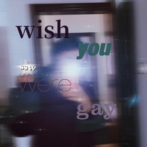 wish you were gay