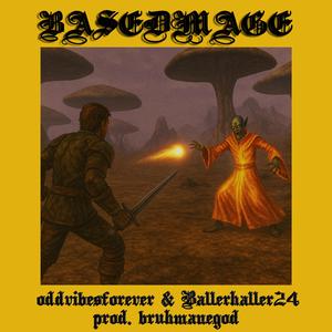 BASEDMAGE (feat. Baller Haller)