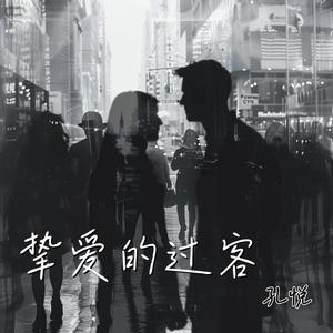 挚爱的过客