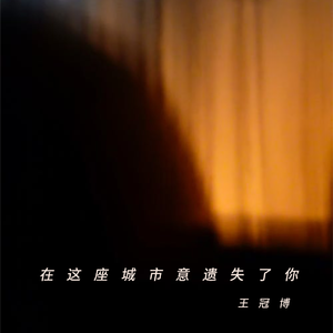 在这座城市遗失了你 mi