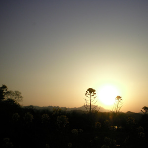 いつかあなたに出逢うため 僕は生まれてきたのです