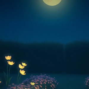 月明かりの下で