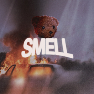 Smell