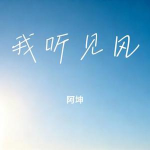 我听见风 (Cover 林叁)