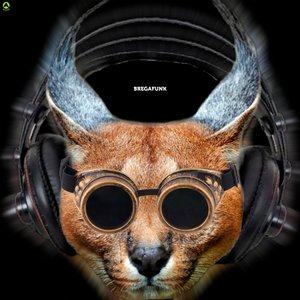 Bregafunk