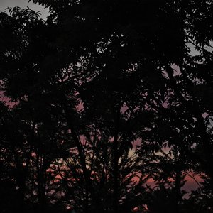《气泡夏天》