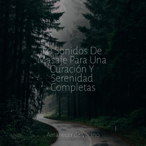 El Viaje del Tejedor de Sueños