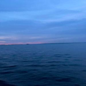 Lost in Korsakoff