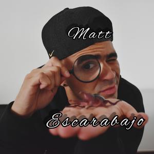 Escarabajo