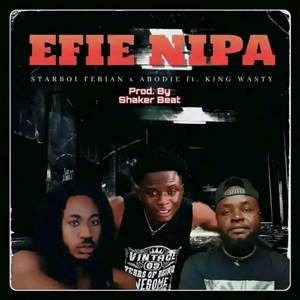 EFIE NIPA