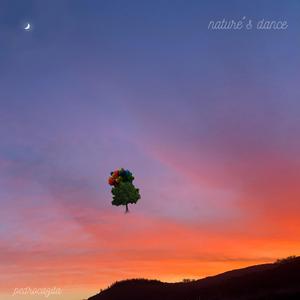 A Late Farewell (You'll Never Go Away) (feat. Carolina Canossa Ferreira)