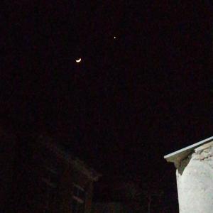 SEE THE LIE(Prod.sadCG)