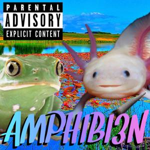 AMPHIBI3N