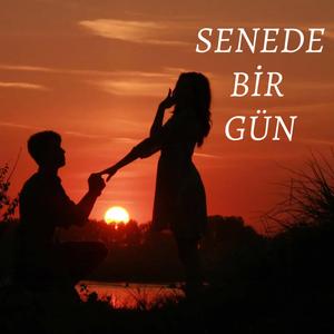 Senede Bir Gün