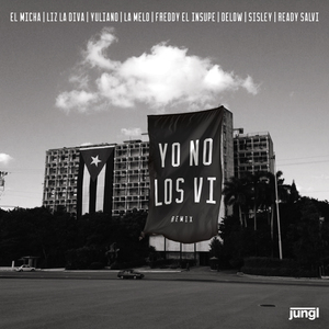 Yo No los Vi (Remix)