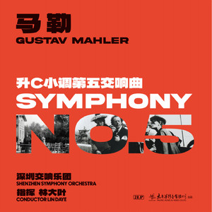 第五交响曲·第一乐章葬礼进行曲