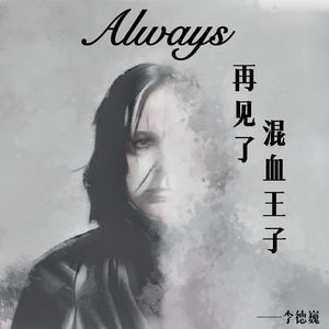 再见了，混血王子（Demo）