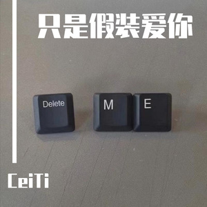 只是假装爱你