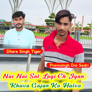 Nai Nai Sal Lagi Ch Jyan