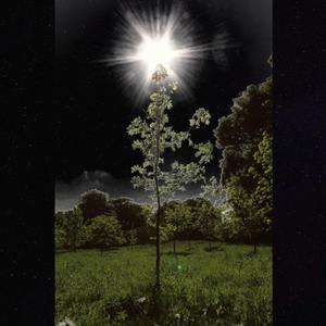 Don't Really Want to Die