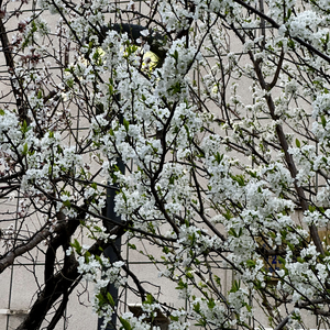 越过这荒芜的沙丘，牵起你手.PROD BY KK1