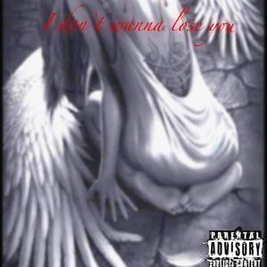 I Dont Wanna Lose You