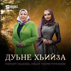 Дуьне хьийза