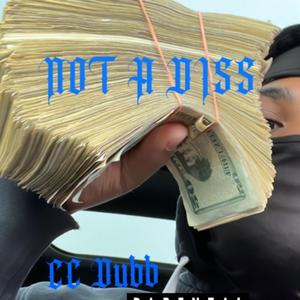 Not a Diss