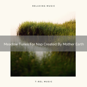 Ocean With Birds, Flowing River And Animals Noises