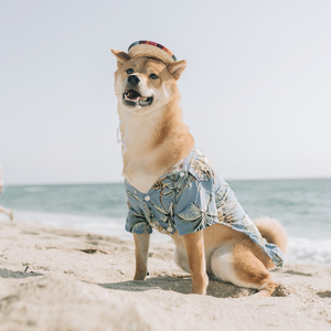 Jingle Bells Jingling (Sound Effect)