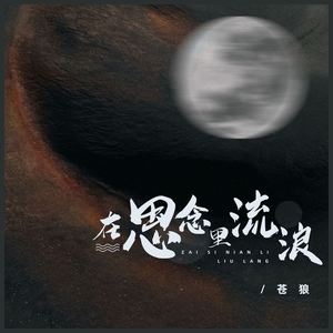 在思念里流浪 (DJ浩然版)