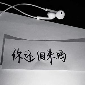 Lucdm-没有你的夜星星都不亮（FanFan remix）