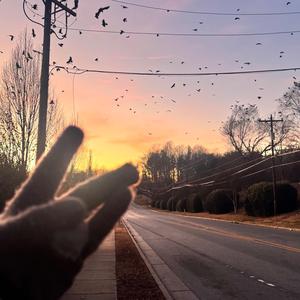 Taliban (feat. Neto)