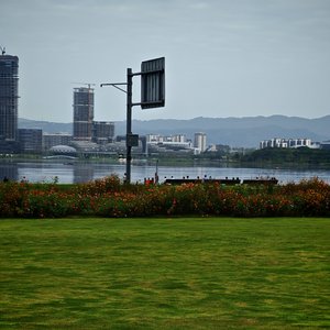 第五年的备忘录