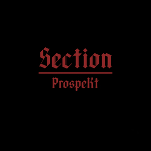 Section