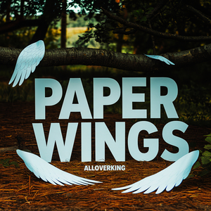 Paper Wings